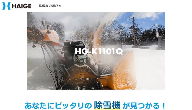 HAIGE_2